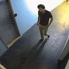 Video: Cops Hunt Preppy Bro Who Tried Opening Williamsburg Office Doors